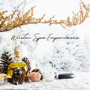 Winter Spa Experience: Complete Relaxation, Calming Moments, Blissful Mood, Rest Evening - Relaxing Spa Music Zone