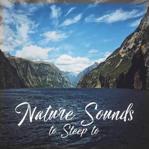 Nature Sounds to Sleep to – Deep Relaxation for Children, Soothing Natural Music, White Noise to Calm Down, Anti Stress - Sleepy Head Music