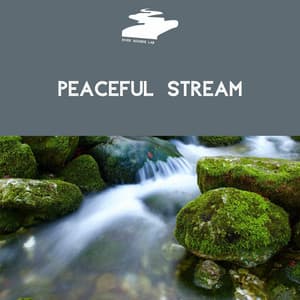 Peaceful Stream - River Sounds Lab