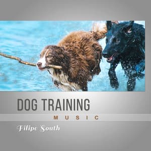 Dog Training Music - Frank South