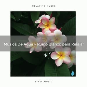 Música De Agua y Ruido Blanco para Relajar - Ruido Blanco Para Estudiar