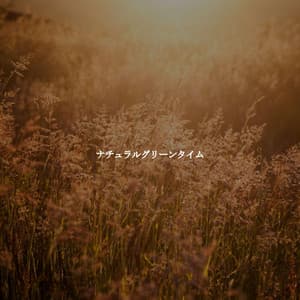ナチュラルグリーンタイム - Happy Instrumental Jazz