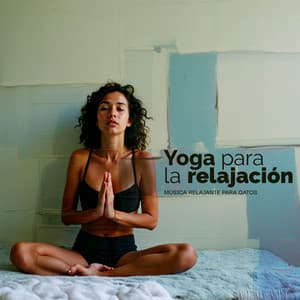 Yoga para la relajación - Música Relajante para Gatos
