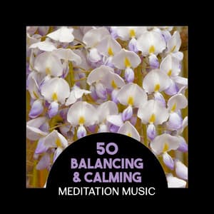 50 Balancing & Calming Meditation Music – Soothe Your Soul with Soft Sounds, Best Music Session for Relaxation, Stress Relief, Regeneration & Harmony - Relaxation & Meditation Academy