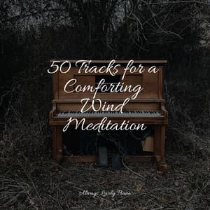 50 Calm Piano Songs for Deep Focus - Romantic Piano Music