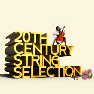 20th Century String Selection - Duke Quartet