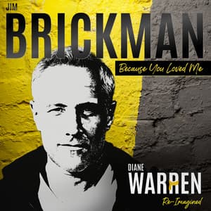 Because You Loved Me: Diane Warren Re-Imagined - Jim Brickman