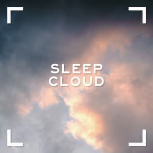 Sleep Cloud - Forest Sounds