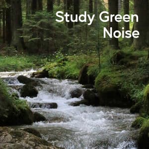 Study Green Noise - Sounds of Nature White Noise for Mindfulness