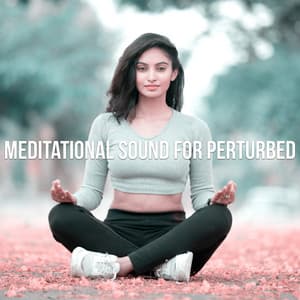 Meditational Sound For Perturbed - Crystal Tones