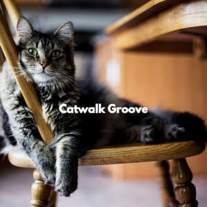 Catwalk Groove - Cat Music Waves