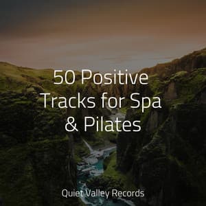 50 Positive Tracks for Spa & Pilates - Thunder Storm