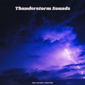 Thunderstorm Sounds - Derrol