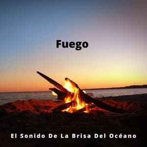 Fuego: El Sonido De La Brisa Del Océano - Sonidos De Fuego
