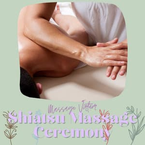 Shiatsu Massage Ceremony - Massage Virtuor