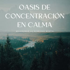 Oasis De Concentración En Calma: Mejorando La Claridad Mental - El Tiempo Central