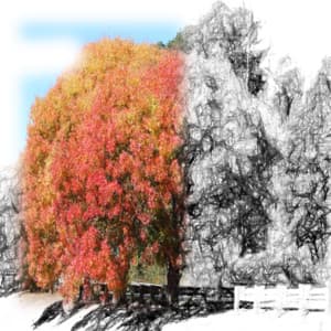 White Noise Spa Collection - 50 Shades of Ambience - The Background