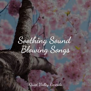 Soothing Sound Blowing Songs - Children's Music