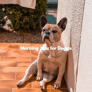 Morning Jazz for Doggo - Doggy Music Radio