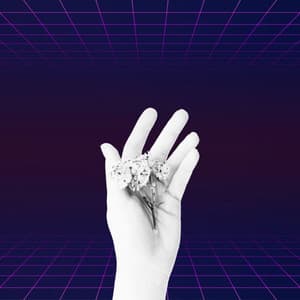 Echoes of Lazy Chairs - Brazilian Jazz Deluxe