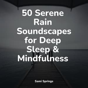 50 Serene Rain Soundscapes for Deep Sleep & Mindfulness - The Relaxation Principle
