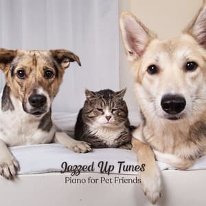 Jazzed Up Tunes: Piano for Pet Friends - Acoustic Coffee Shop Music
