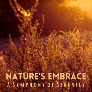 Nature's Embrace: A Symphony of Serenity - Nature Sounds Collabo