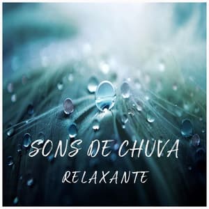 Sons de Chuva Relaxante - Relaxing Music for Dogs