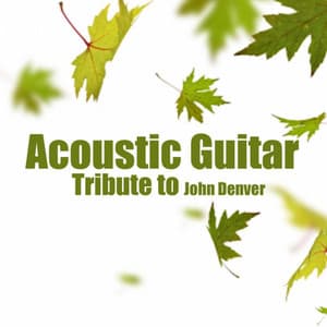 Acoustic Guitar Tribute to John Denver - Acoustic Guitar Tribute Players