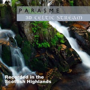 3D Celtic Stream - Parasme