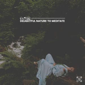 Delightful Nature to Meditate - Florida Nature