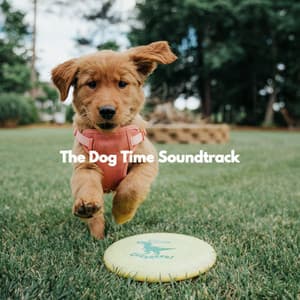 The Dog Time Soundtrack - Relaxing Dog Music Radio