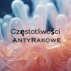Częstotliwości AntyRakowe - Strefa Medytacji i Komfortu
