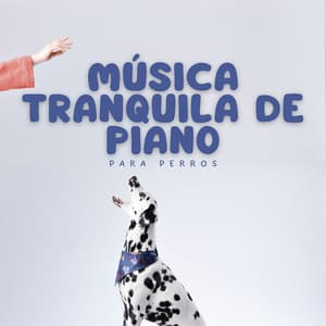 Música Tranquila De Piano Para Perros - Jazz para perros