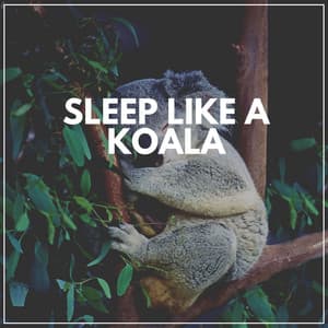 Sleep Like a Koala - Sleeping Music for Babies