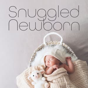 Snuggled Newborn - Newborn Baby Universe