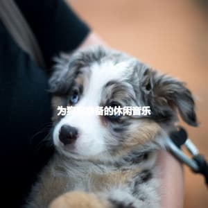 为狗狗准备的休闲音乐 - French Cafe Jazz Chill