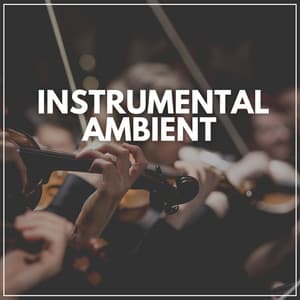 Instrumental Ambient - Stress Relief Helper