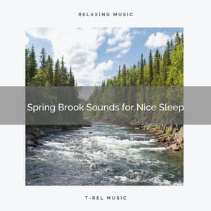! ! ! ! Spring Brook Sounds for Nice Sleep - Rivers and Streams