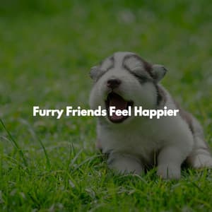 Furry Friends Feel Happier - Dinner Party Music Chill Out