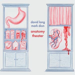 David Lang: Anatomy Theater - David Lang
