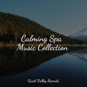 Calming Spa Music Collection - Water Soundscapes