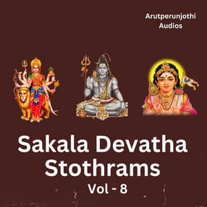 Sakala Devatha Stothrams, Vol. 8 - Rahul K. Raveendran