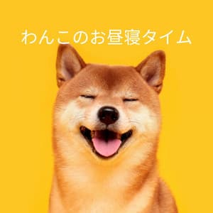 わんこのお昼寝タイム - Deluxe Elevator Music