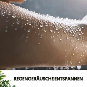 Regengeräusche entspannen: Regen über Wasser - Dog Relaxation
