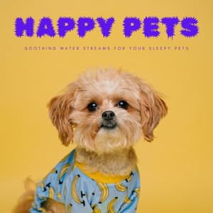 Happy Pets: Soothing Water Streams For Your Sleepy Pets - Nature Soundscape