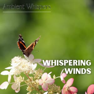 Whispering Winds - Ambient Whispers