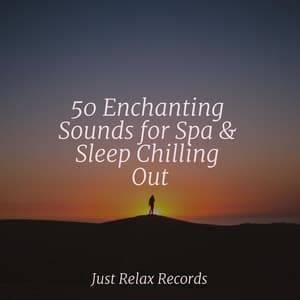 50 Enchanting Sounds for Spa & Sleep Chilling Out - Dog Music