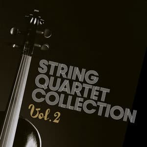 String Quartet Collection, Vol. 2 - Rudi Mahall Quartett