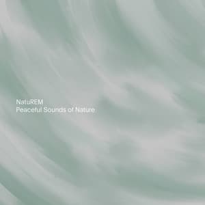 Peaceful Sounds of Nature - NatuREM